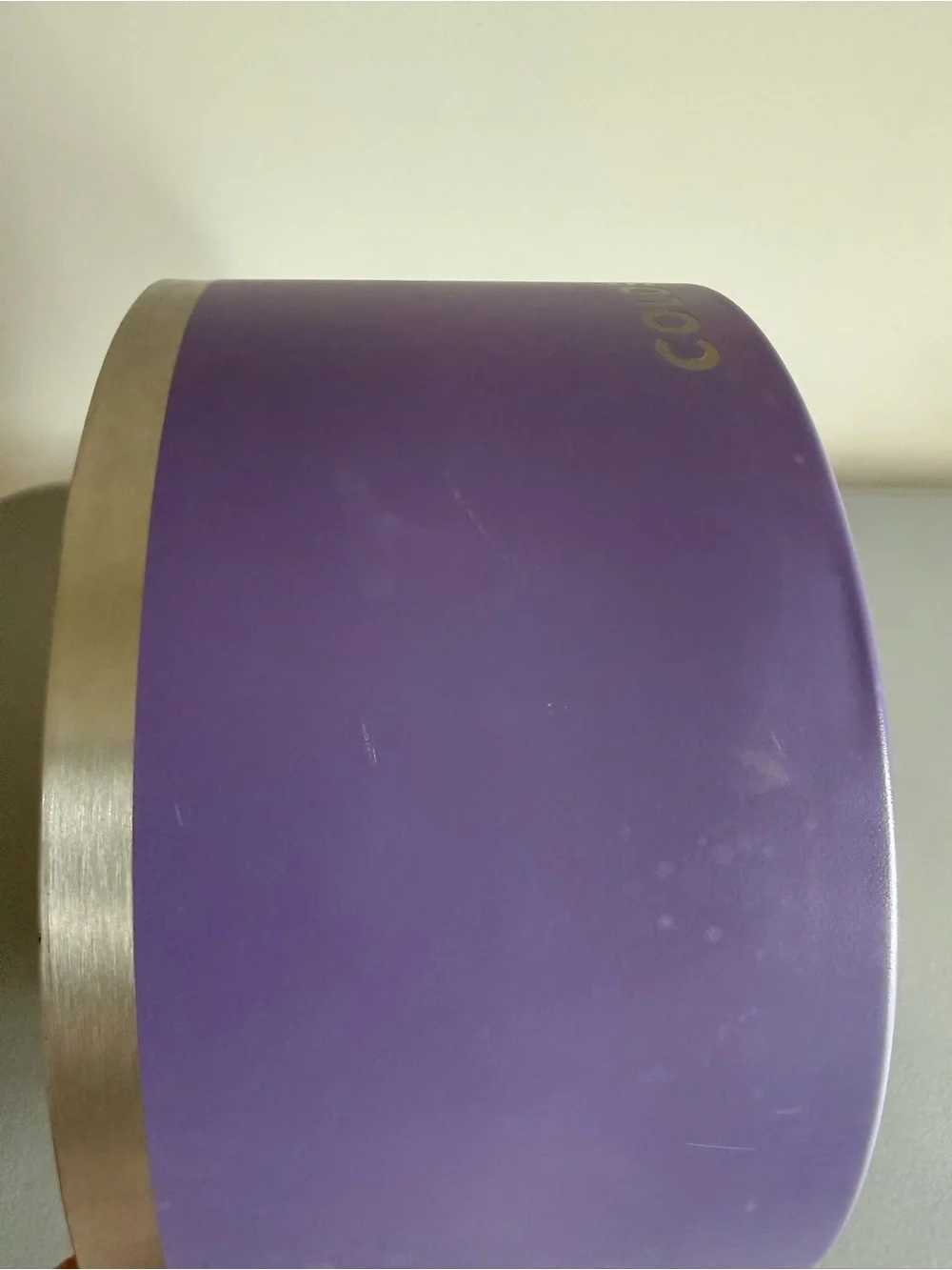 Large Insulated Dog Bowl